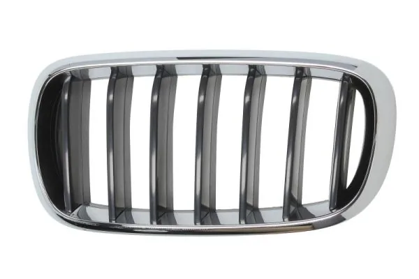 Grila radiator