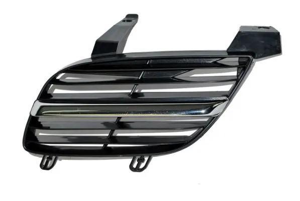 Grila radiator