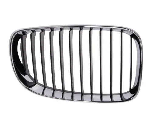 Grila radiator
