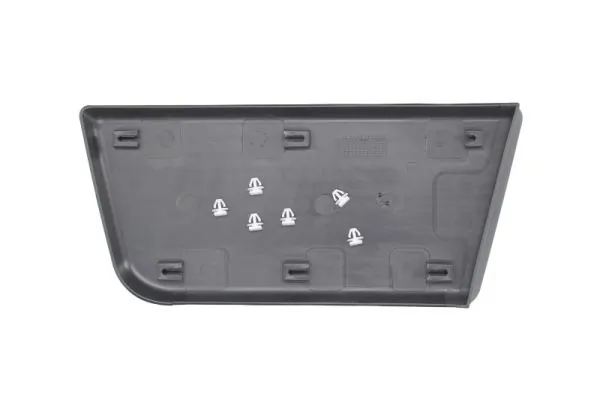 Elemente decorative/protectie aripa