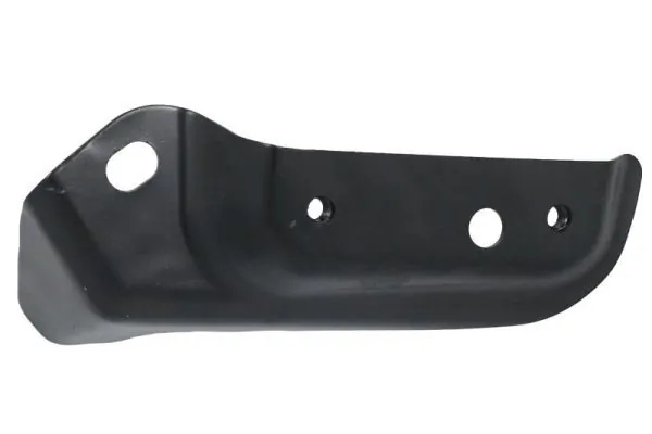 Elemente decorative/protectie parbriz