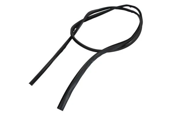Elemente decorative/protectie parbriz