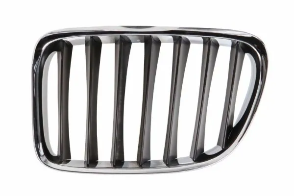 Grila radiator