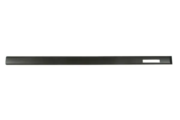 Elemente decorative/protectie, portiera