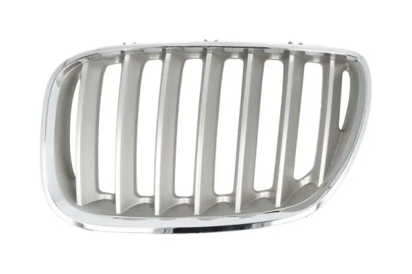 Grila radiator