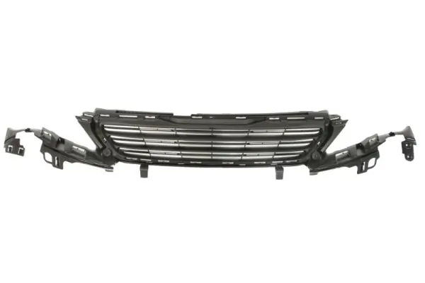 Grila radiator