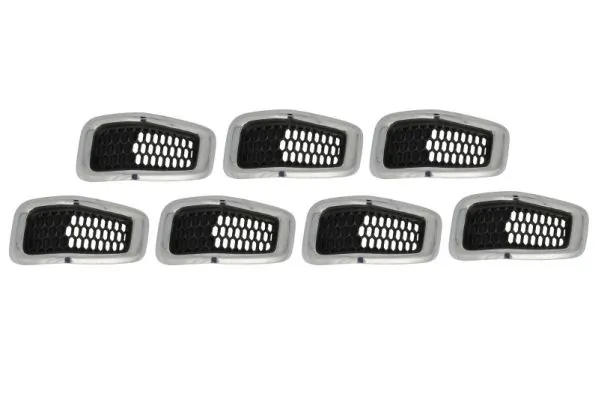 Grila radiator