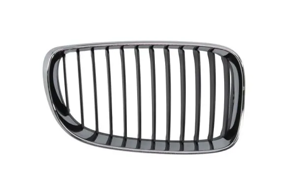 Grila radiator