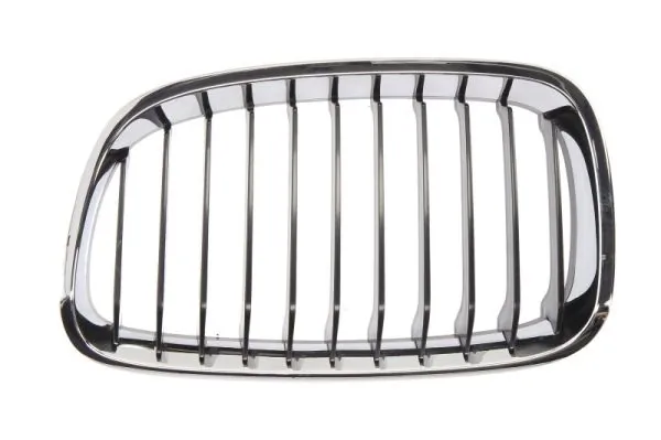Grila radiator
