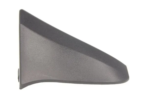 Elemente decorative/protectie, aripa