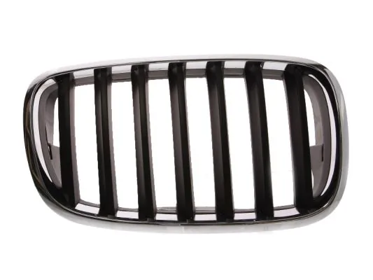 Grila radiator