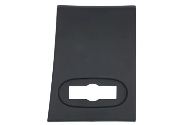Elemente decorative/protectie panou lateral