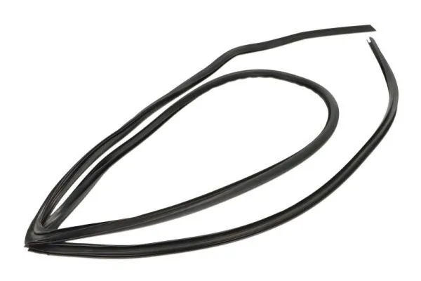 Elemente decorative/protectie parbriz