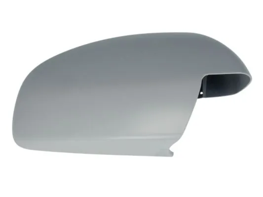 Carcasa oglinda exterioara