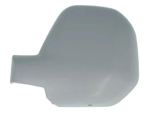 Carcasa oglinda exterioara