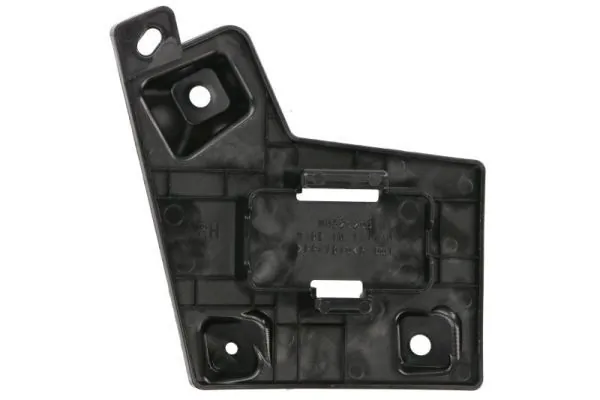 Elemente decorative/protectie parbriz