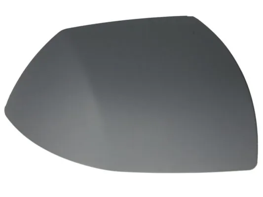 Carcasa oglinda exterioara