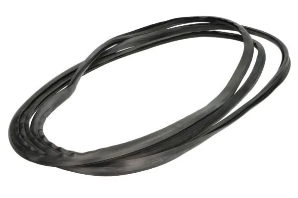 Elemente decorative/protectie parbriz