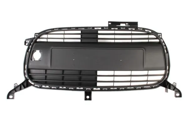 Grila radiator
