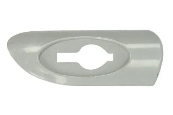 Elemente decorative/protectie aripa