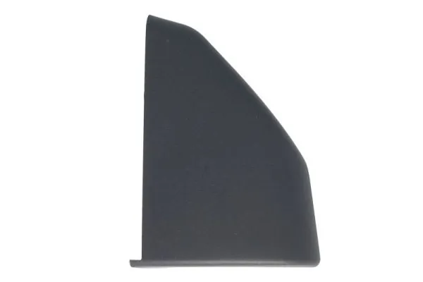 Elemente decorative/protectie aripa