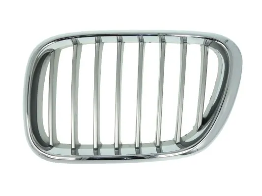Grila radiator