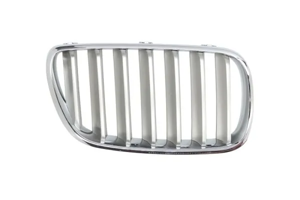 Grila radiator