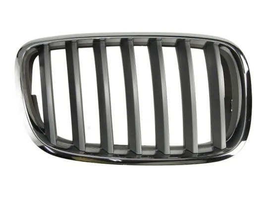Grila radiator
