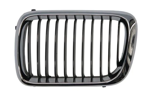 Grila radiator