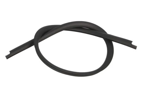 Elemente decorative/protectie parbriz