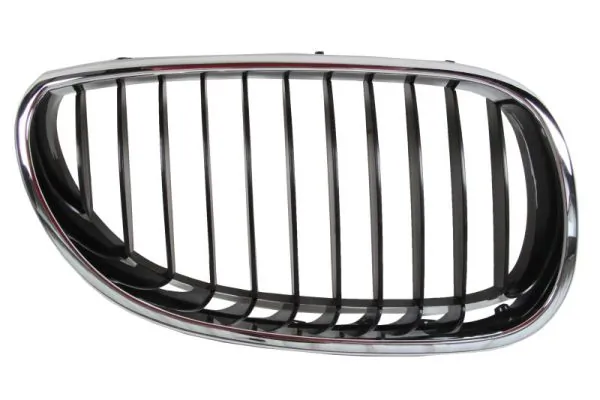 Grila radiator