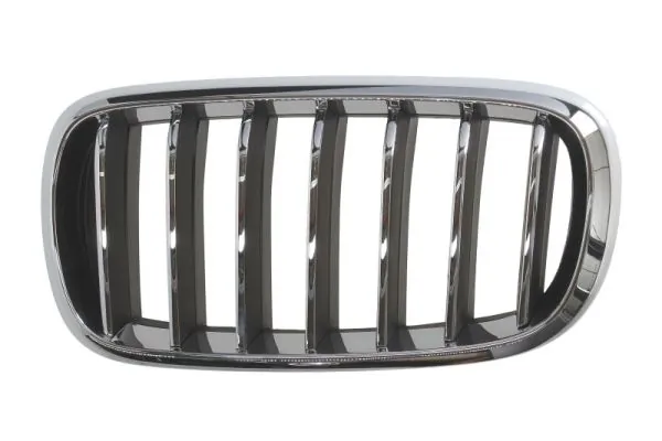 Grila radiator
