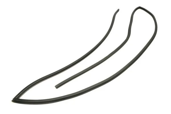Elemente decorative/protectie parbriz