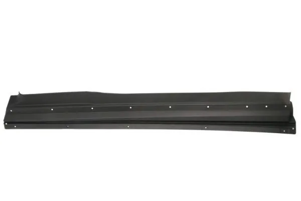 Elemente decorative/protectie, portiera