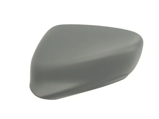 Carcasa oglinda exterioara