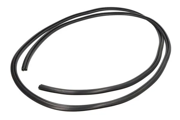 Elemente decorative/protectie parbriz