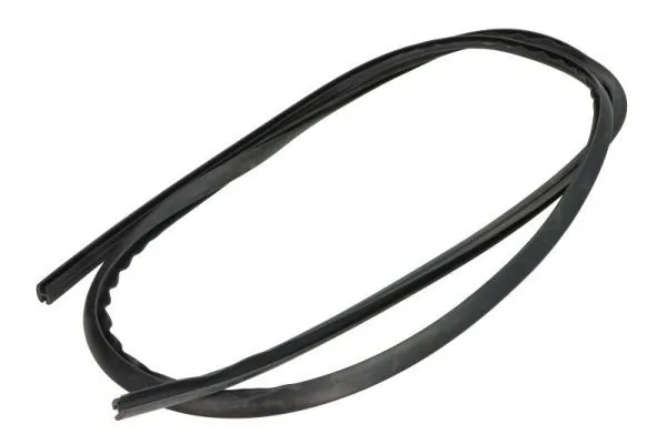 Elemente decorative/protectie, parbriz