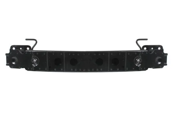 Elemente decorative/protectie parbriz