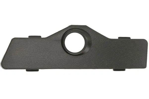 Elemente decorative/protectie parbriz