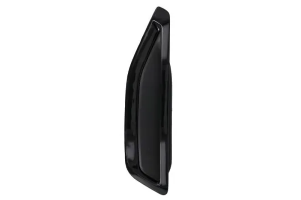Elemente decorative/protectie aripa