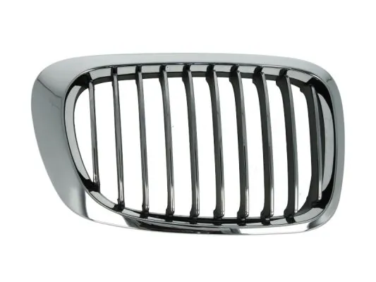 Grila radiator