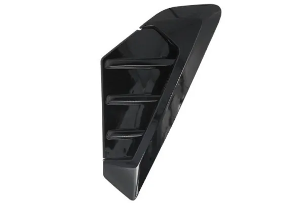 Elemente decorative/protectie aripa