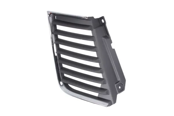 Grila radiator
