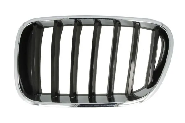 Grila radiator
