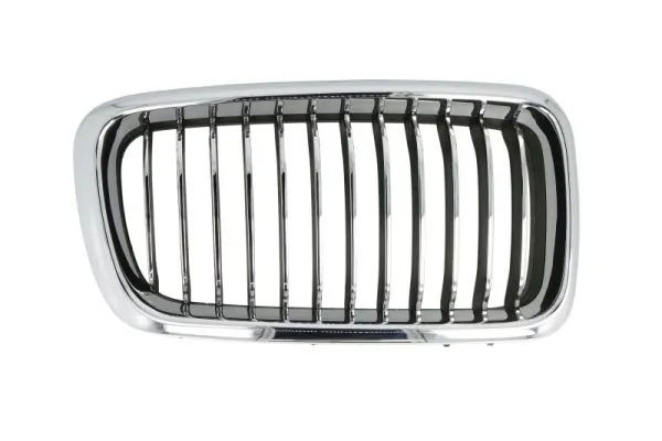 Grila radiator