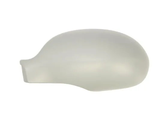 Carcasa oglinda exterioara