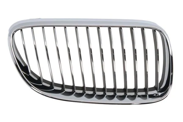 Grila radiator