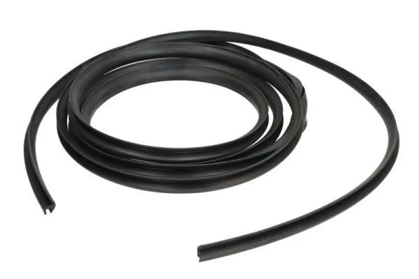 Elemente decorative/protectie parbriz