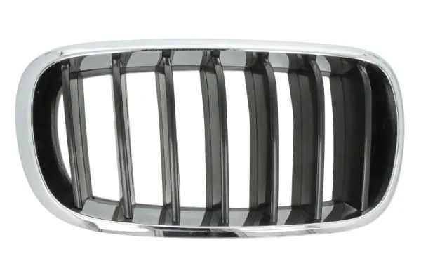 Grila radiator