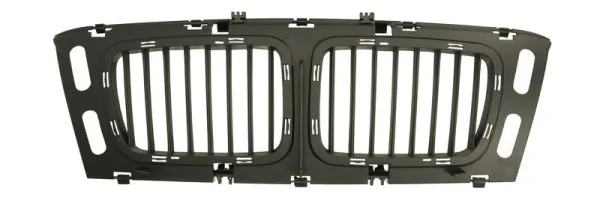Grila radiator